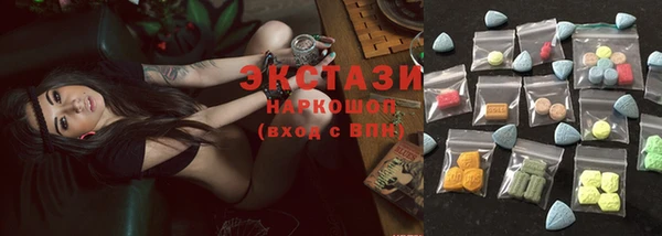 гашик Богородск