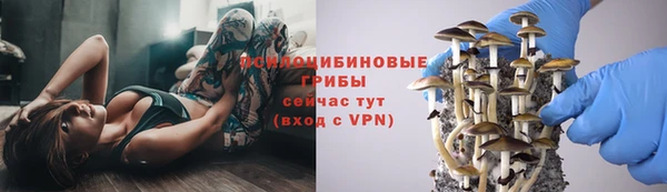 первитин Беломорск
