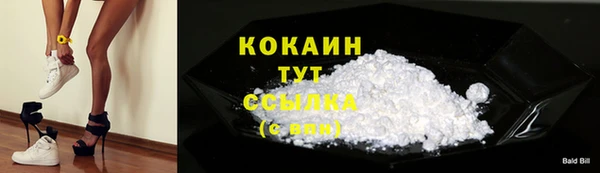 трава Белокуриха