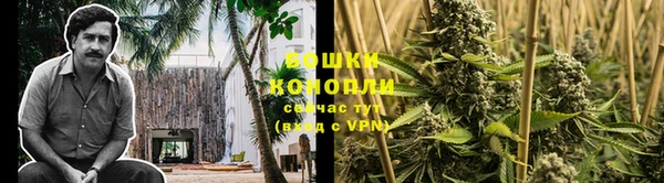 мяу мяу мука Белоозёрский
